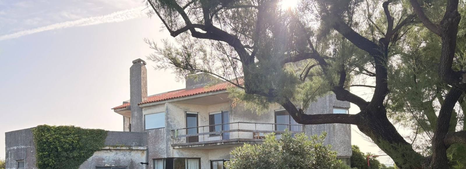 The Ocean's Garden house among trees, sunlight through the branches